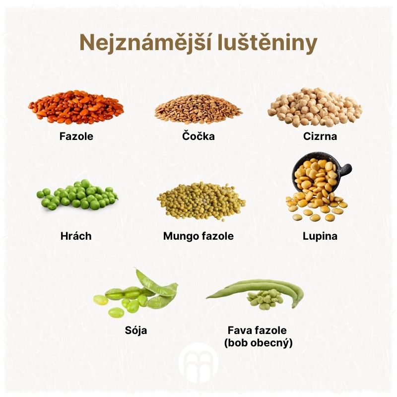 Nejznámější luštěniny
